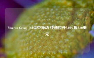 Emeren Group Ltd盘中异动 快速拉升5.06%报2.60美元