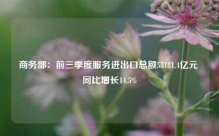 商务部：前三季度服务进出口总额55181.4亿元 同比增长14.5%