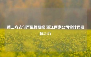 第三方支付严监管继续 浙江两家公司合计罚没超554万