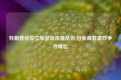 特朗普或设立加密货币委员会 行业高管激烈争夺席位-第1张图片-十倍杠杆-股票杠杆