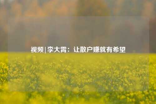 视频|李大霄：让散户赚就有希望-第1张图片-十倍杠杆-股票杠杆