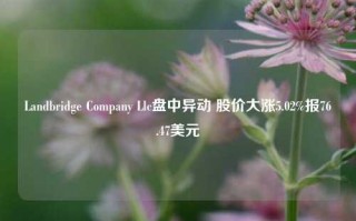 Landbridge Company Llc盘中异动 股价大涨5.02%报76.47美元