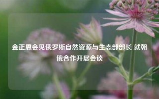 金正恩会见俄罗斯自然资源与生态部部长 就朝俄合作开展会谈