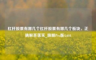 杠杆股票有哪几个杠杆股票有哪几个板块，正确解答落实_旗舰Pro版4.644