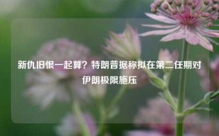 新仇旧恨一起算？特朗普据称拟在第二任期对伊朗极限施压