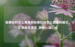 股票杠杆怎么算盈利股票杠杆怎么算盈利模式，正确解答落实_旗舰Pro版4.708