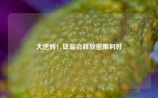 大逆转！证监会释放密集利好