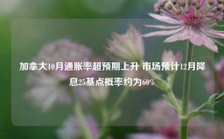 加拿大10月通胀率超预期上升 市场预计12月降息25基点概率约为60%