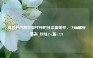 有杠杆的股票有杠杆的股票有哪些，正确解答落实_旗舰Pro版4.738