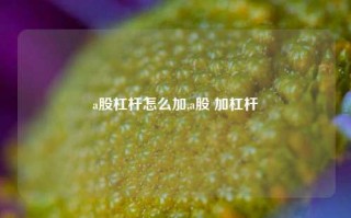 a股杠杆怎么加,a股 加杠杆