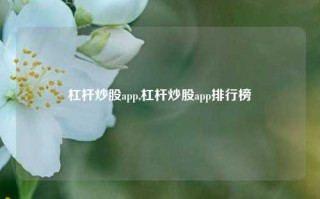 杠杆炒股app,杠杆炒股app排行榜