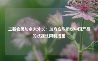 王毅会见加拿大外长：加方应取消对中国产品的歧视性限制措施