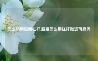 怎么动用股票杠杆,股票怎么用杠杆融资可靠吗