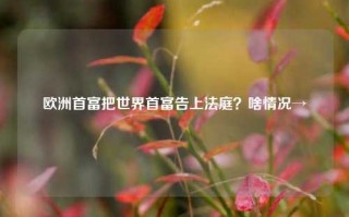 欧洲首富把世界首富告上法庭？啥情况→