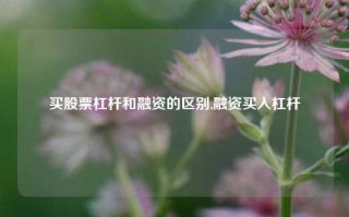 买股票杠杆和融资的区别,融资买入杠杆