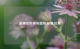 股票杠杆有利息吗,股票,杠杆