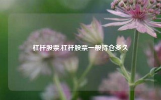 杠杆股票,杠杆股票一般持仓多久