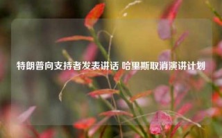 特朗普向支持者发表讲话 哈里斯取消演讲计划