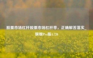 股票市场杠杆股票市场杠杆率，正确解答落实_旗舰Pro版4.720