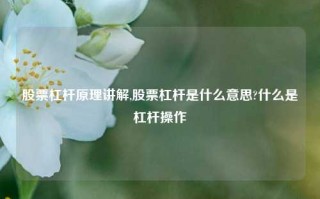 股票杠杆原理讲解,股票杠杆是什么意思?什么是杠杆操作