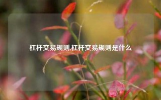 杠杆交易规则,杠杆交易规则是什么