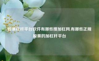 股票杠杆平台软件有哪些搜加杠网,有哪些正规股票的加杠杆平台