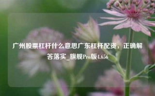 广州股票杠杆什么意思广东杠杆配资，正确解答落实_旗舰Pro版4.656