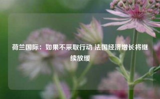 荷兰国际：如果不采取行动 法国经济增长将继续放缓