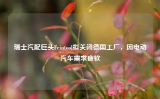 瑞士汽配巨头Feintool拟关闭德国工厂，因电动汽车需求疲软