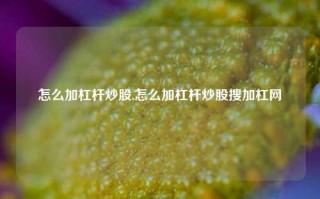 怎么加杠杆炒股,怎么加杠杆炒股搜加杠网