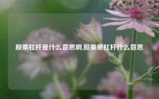 股票杠杆是什么意思啊,股票里杠杆什么意思