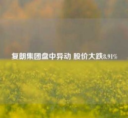 复朗集团盘中异动 股价大跌8.91%