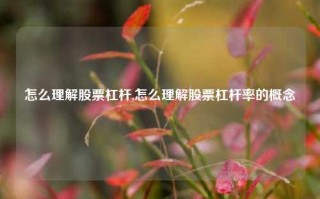 怎么理解股票杠杆,怎么理解股票杠杆率的概念