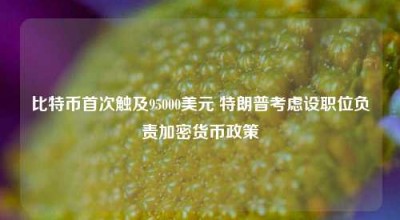 比特币首次触及95000美元 特朗普考虑设职位负责加密货币政策