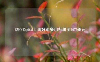 BMO Capital上调好市多目标价至1075美元