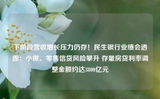 下阶段营收增长压力仍存！民生银行业绩会透露：小微、零售信贷风险攀升 存量房贷利率调整金额约达3800亿元