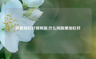 股票加杠杆规则新,什么叫股票加杠杆