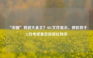 “币圈”将迎大金主？SEC文件显示，微软将于12月考虑是否投资比特币