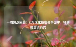 一周热点回顾：12万亿化债组合拳出炉，特朗普重返白宫