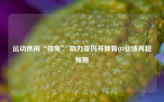 运动休闲“得宠” 助力亚玛芬体育Q3业绩再超预期