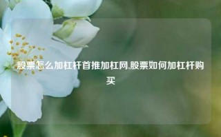 股票怎么加杠杆首推加杠网,股票如何加杠杆购买