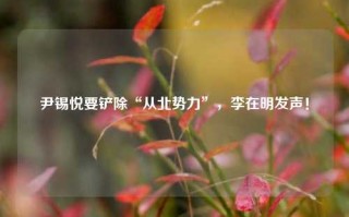 尹锡悦要铲除“从北势力”，李在明发声！