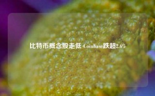 比特币概念股走低 Coinbase跌超2.6%