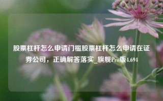 股票杠杆怎么申请门槛股票杠杆怎么申请在证券公司，正确解答落实_旗舰Pro版4.694