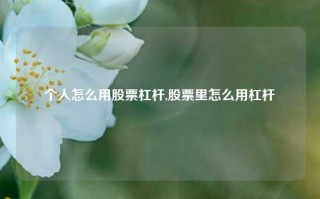 个人怎么用股票杠杆,股票里怎么用杠杆