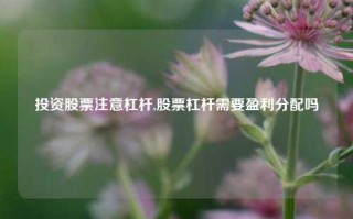 投资股票注意杠杆,股票杠杆需要盈利分配吗