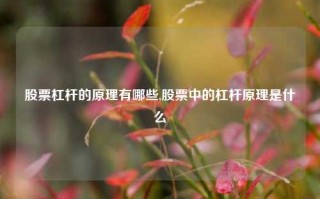 股票杠杆的原理有哪些,股票中的杠杆原理是什么