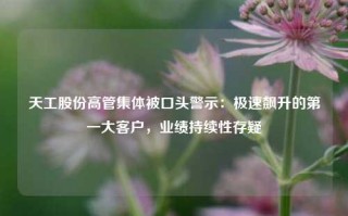 天工股份高管集体被口头警示：极速飙升的第一大客户，业绩持续性存疑