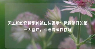 天工股份高管集体被口头警示：极速飙升的第一大客户，业绩持续性存疑