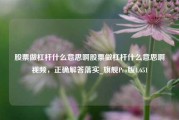 股票做杠杆什么意思啊股票做杠杆什么意思啊视频，正确解答落实_旗舰Pro版4.651